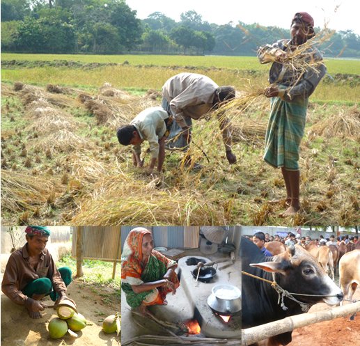 ホームステイ（カパシア村